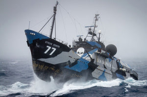 PLANET SAVING COFFEE – OUR PARTNERSHIP WITH SEA SHEPHERD